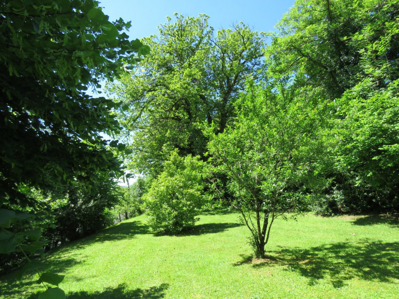 vente Maison Juillac - Photo 16