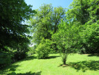 vente Maison Juillac