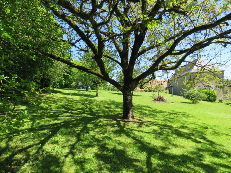 vente Maison Juillac - Photo 17