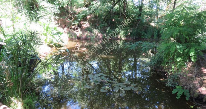 vente Maison de caractère Louignac