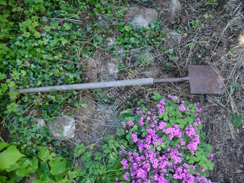 vente Maison Ayen - Photo 19