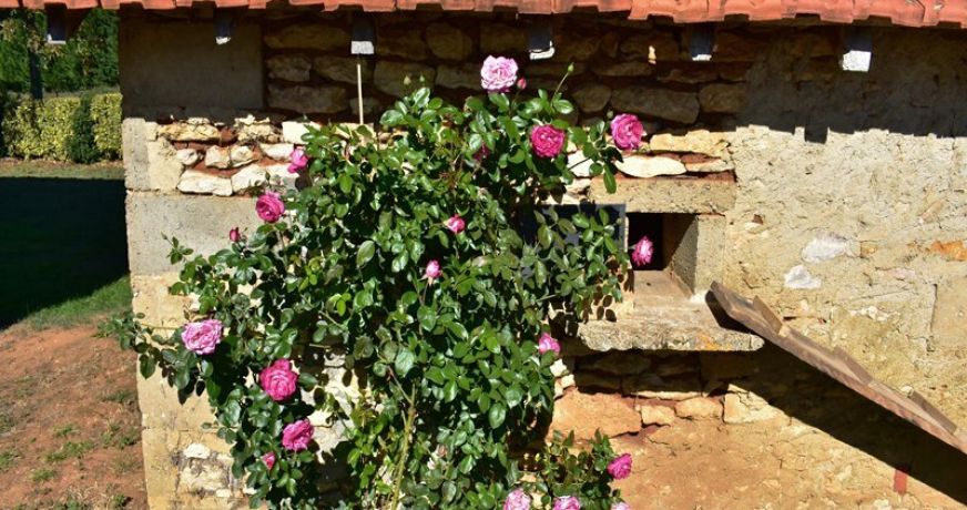 vente Haras / equestre Gourdon