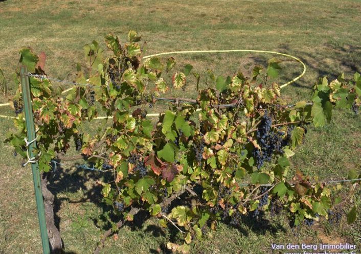 à vendre Haras / equestre Gourdon