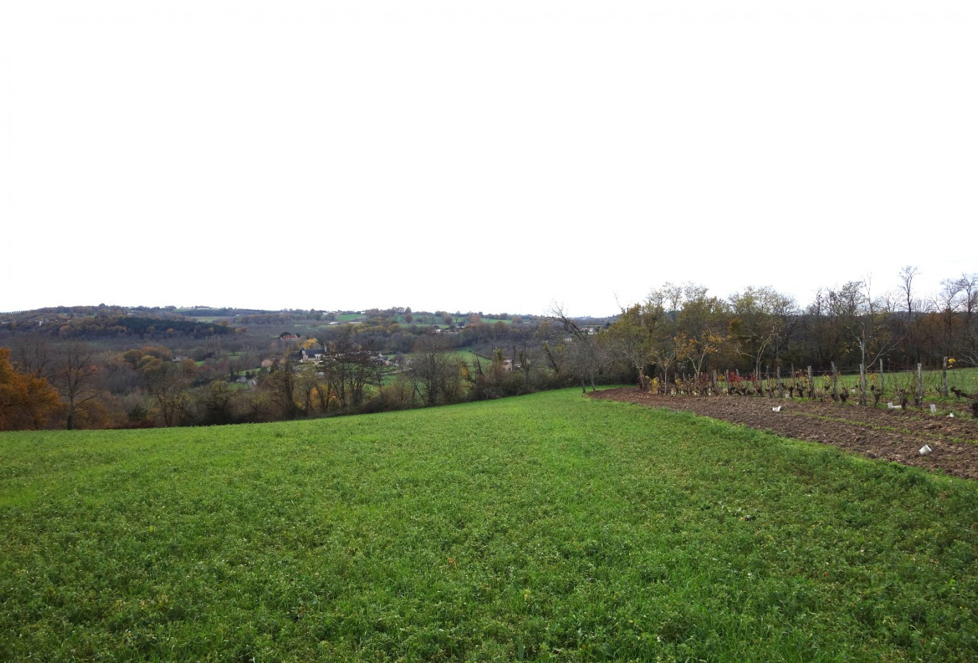 vente Terrain Nailhac - Photo 3