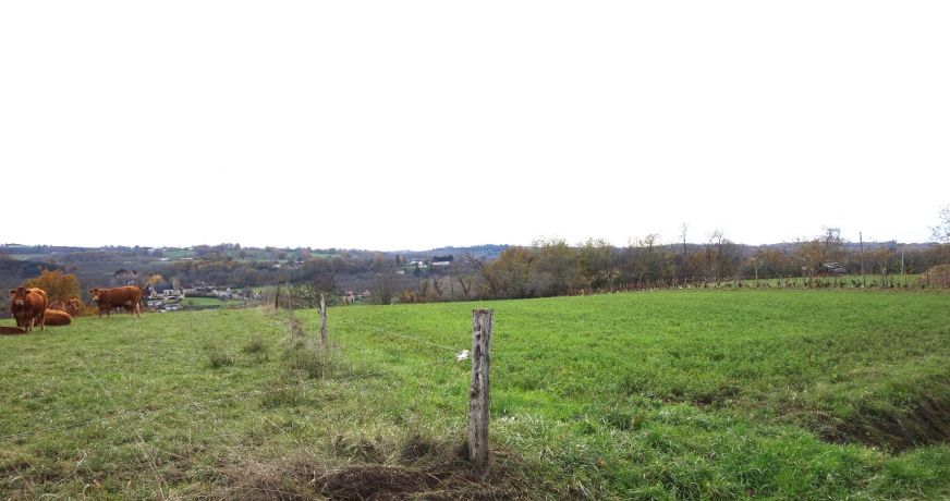 vente Terrain Nailhac