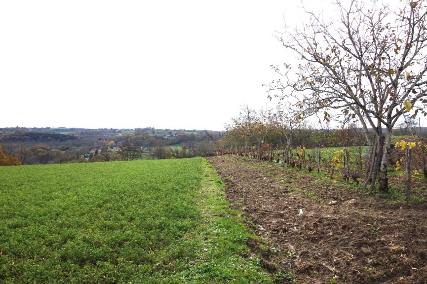 vente Terrain Nailhac - Photo 6