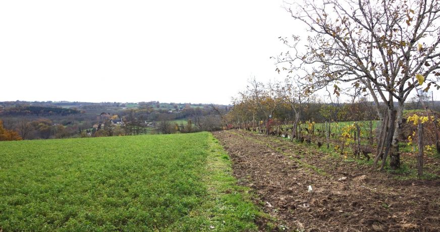 vente Terrain Nailhac