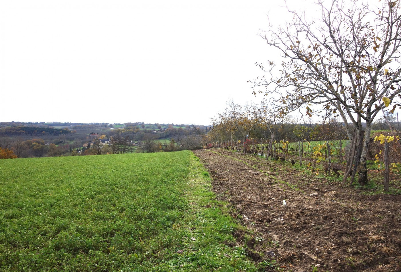 vente Terrain Nailhac - Photo 6