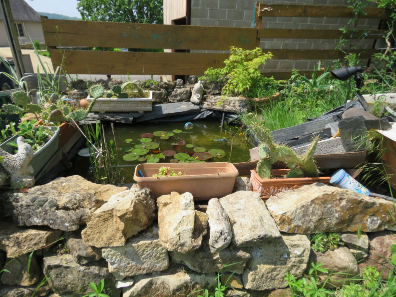 vente Maison Segonzac - Photo 10