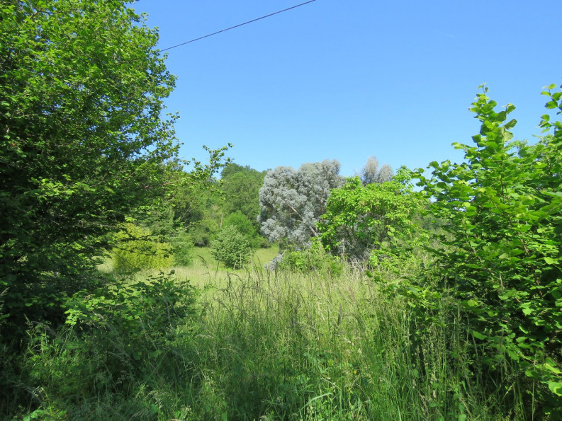 sale Maison Saint Robert - Photo 17