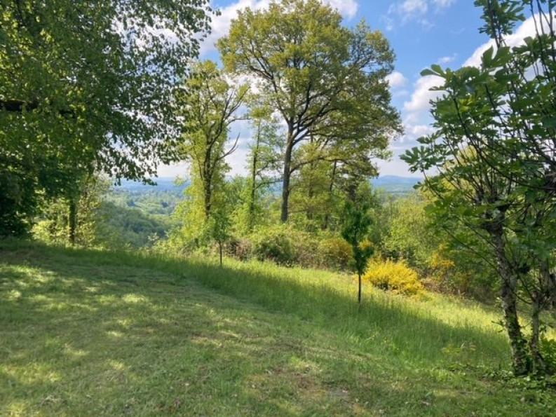 vente Maison Lascaux - Photo 7