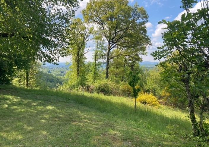 à vendre Maison Lascaux