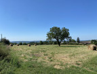 vente Terrain constructible Juillac