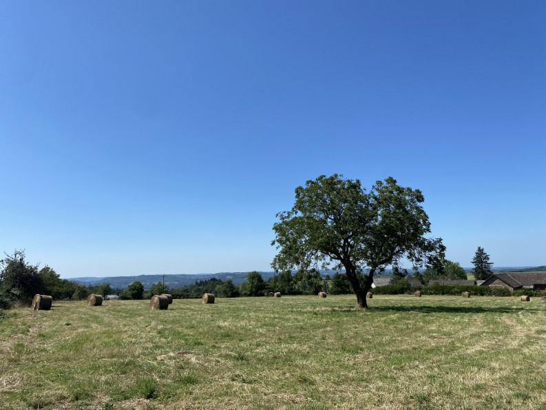 vente Terrain constructible Juillac - Photo 2
