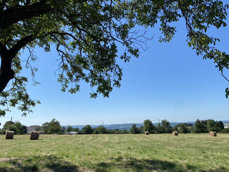 vente Terrain constructible Juillac - Photo 4