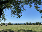 vente Terrain constructible Juillac