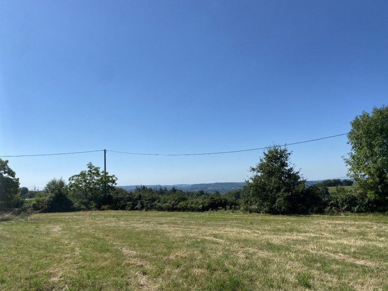 vente Terrain constructible Juillac - Photo 7