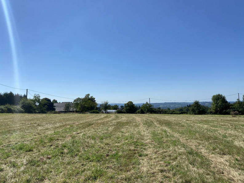 vente Terrain constructible Juillac - Photo 6