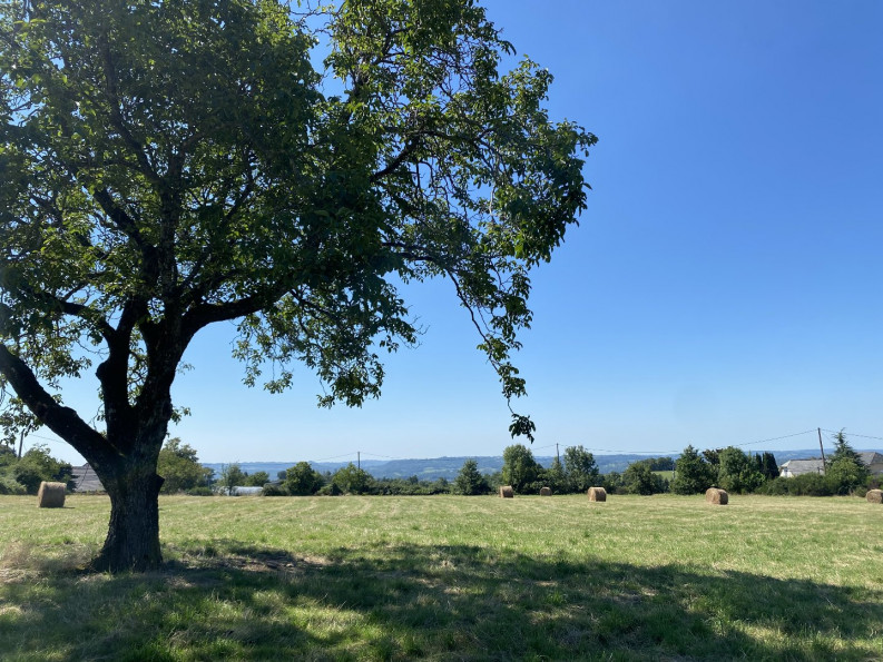 vente Terrain constructible Juillac - Photo 1