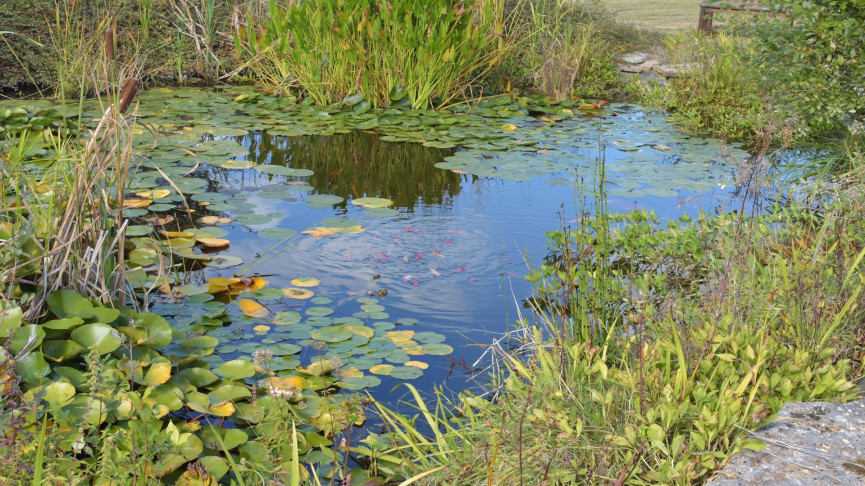 sale Propriété Gourdon - Photo 5
