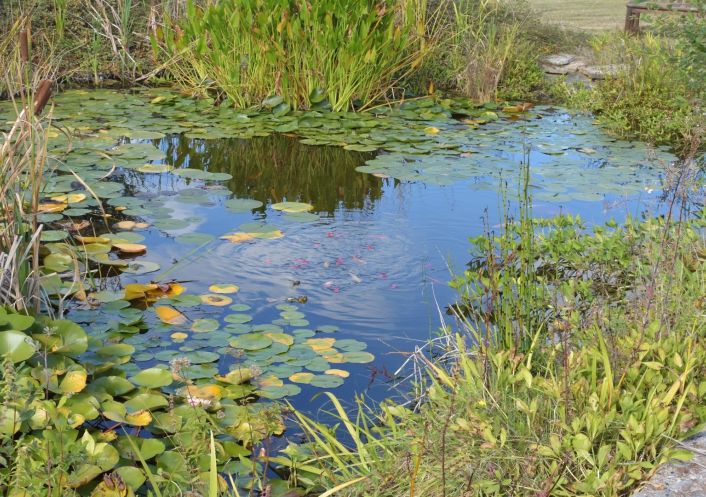 à vendre Propriété Gourdon