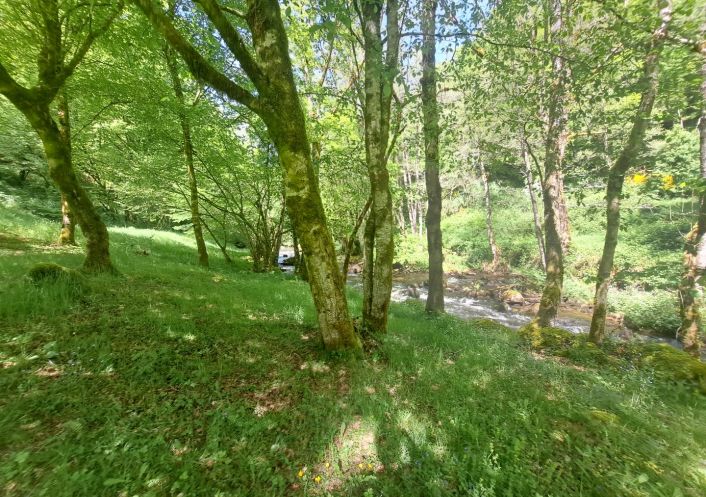 à vendre Moulin La Roche Canillac