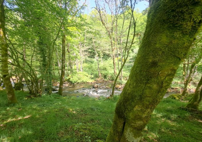 à vendre Moulin La Roche Canillac