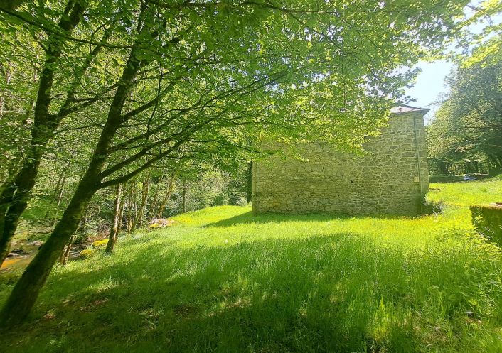 à vendre Moulin La Roche Canillac