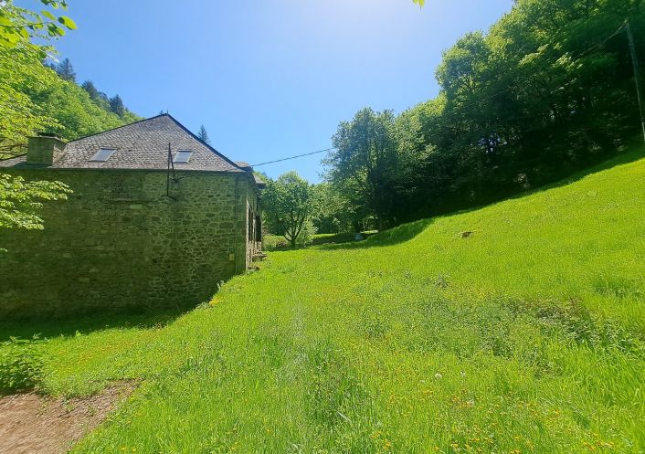 à vendre Moulin La Roche Canillac
