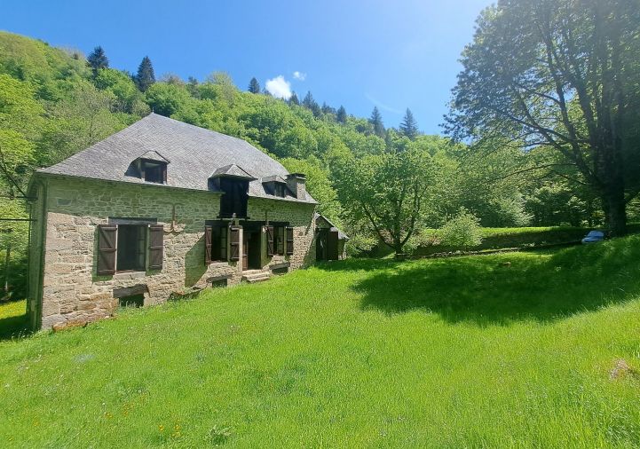 vente Moulin La Roche Canillac