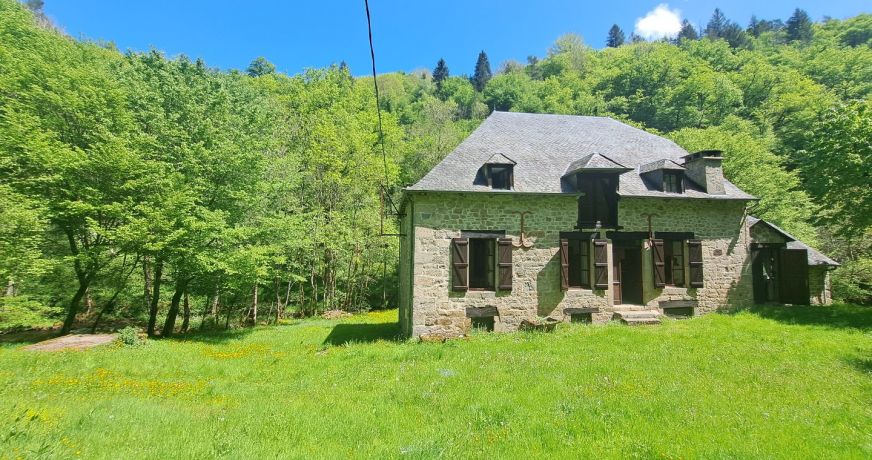 vente Moulin La Roche Canillac