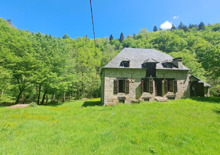 à vendre Moulin La Roche Canillac