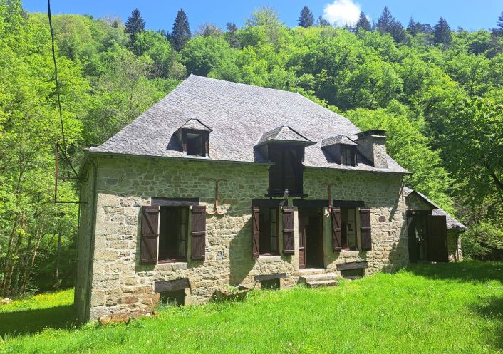 à vendre Moulin La Roche Canillac