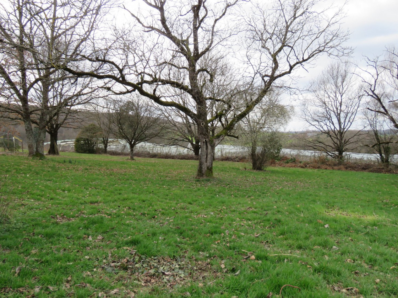 à vendre Maison Saint Cyr Les Champagnes - Photo 16