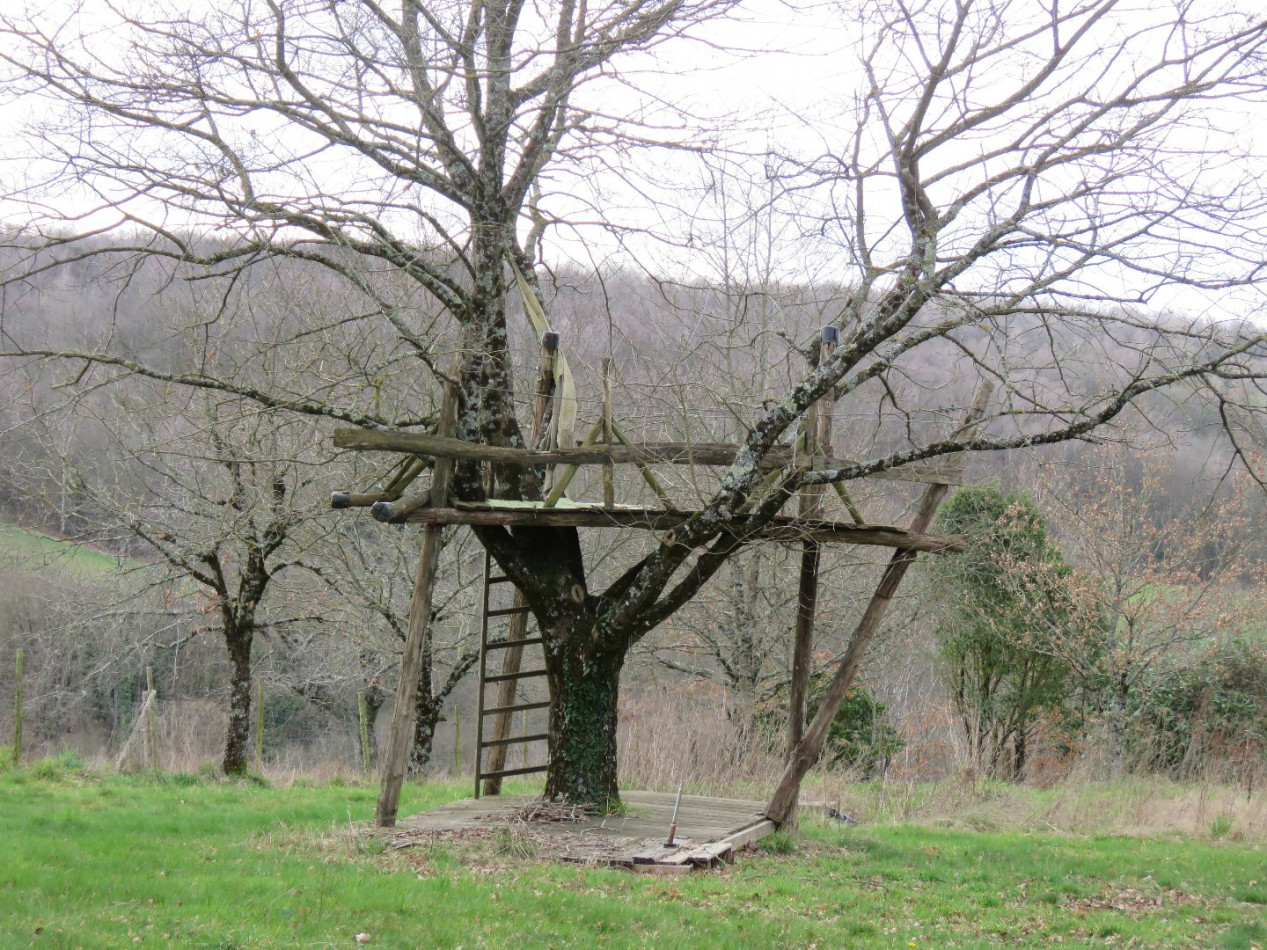 à vendre Maison Saint Cyr Les Champagnes - Photo 15