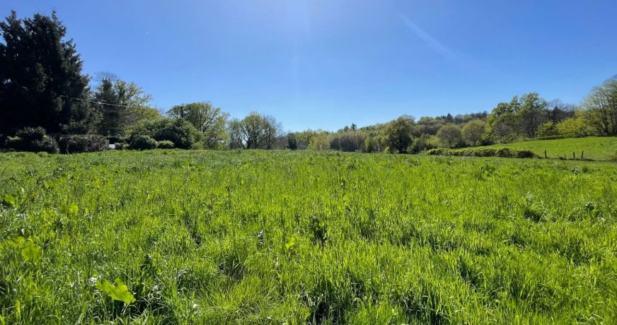 vente Terrain constructible Saint Sornin Lavolps