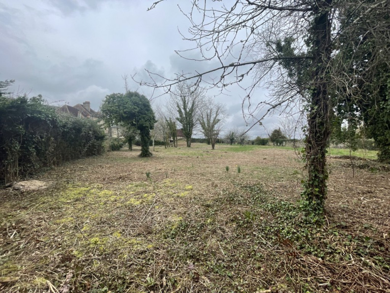 vente Maison Saint Robert - Photo 20