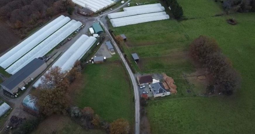 vente Maison Juillac