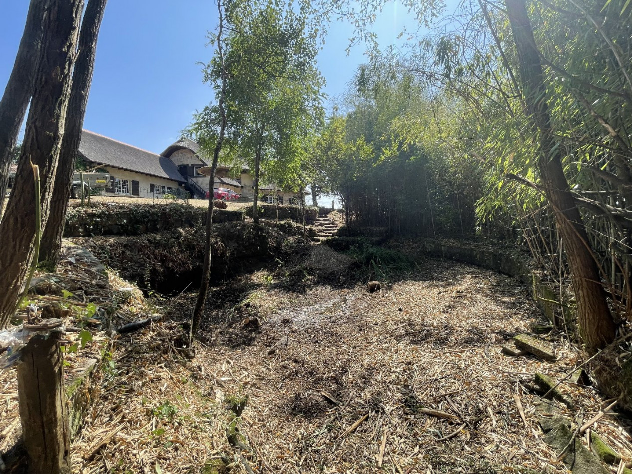 à vendre Maison Tulle - Photo 16