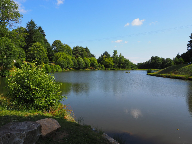 sale Domaine Saint Sornin Lavolps - Photo 12