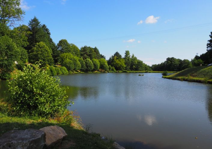 à vendre Domaine Saint Sornin Lavolps