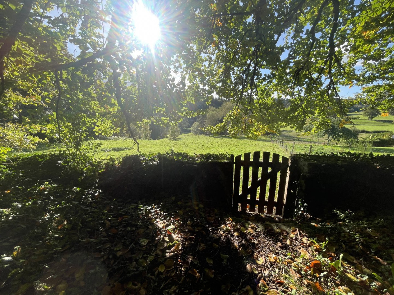 vente Domaine Hautefage - Photo 18