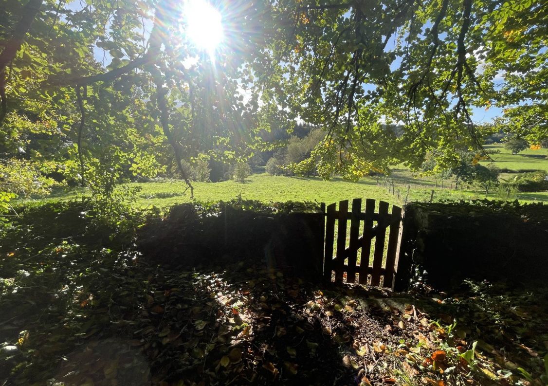 vente Domaine Hautefage