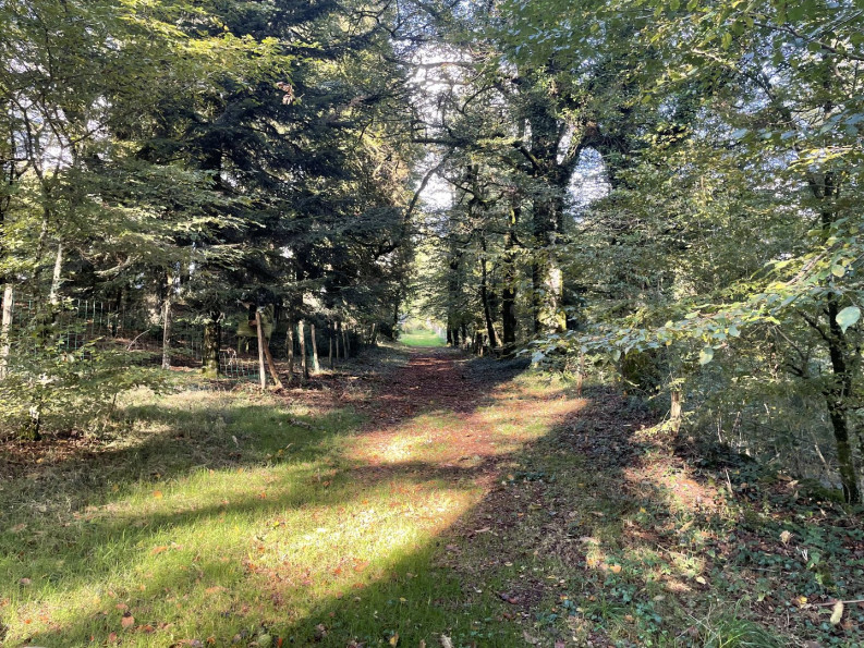 sale Domaine Hautefage - Photo 19