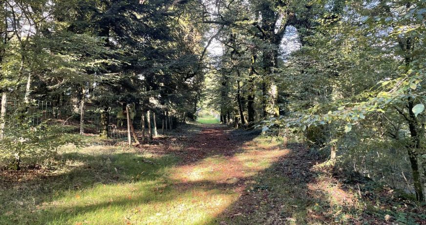 vente Domaine Hautefage