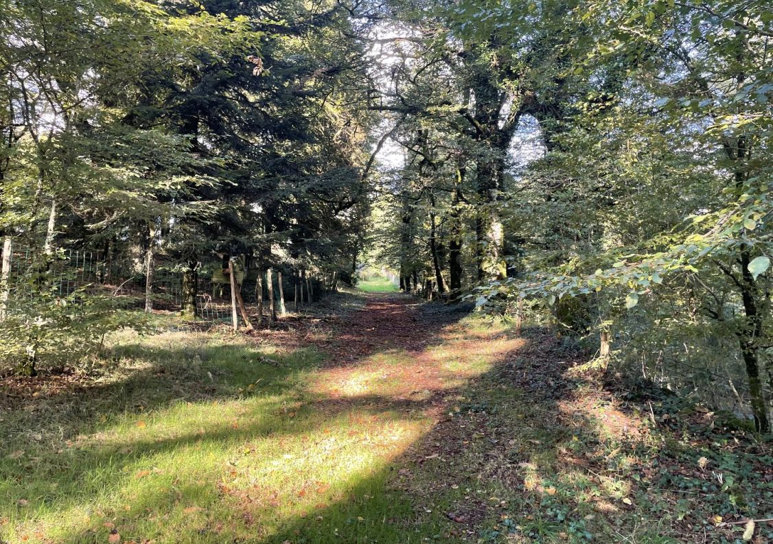 vente Domaine Hautefage