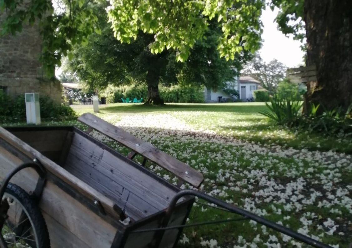 vente Domaine Hautefage