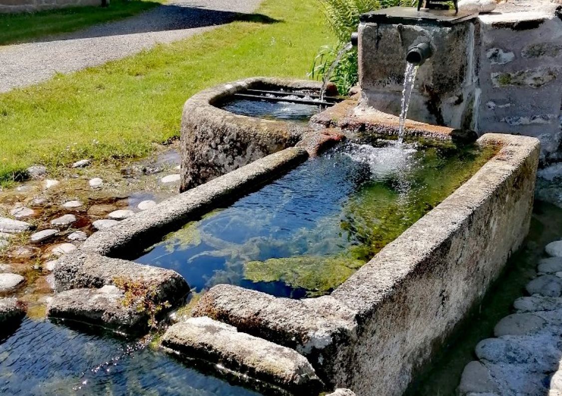 vente Domaine Hautefage