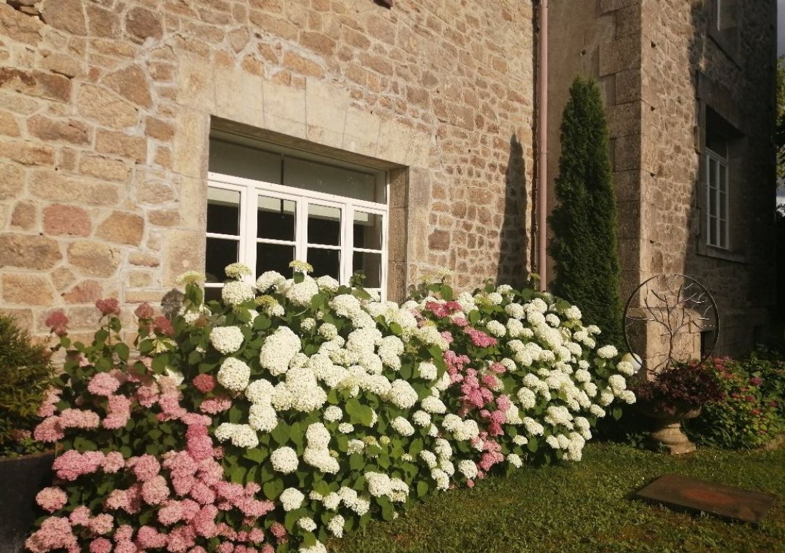 vente Domaine Hautefage