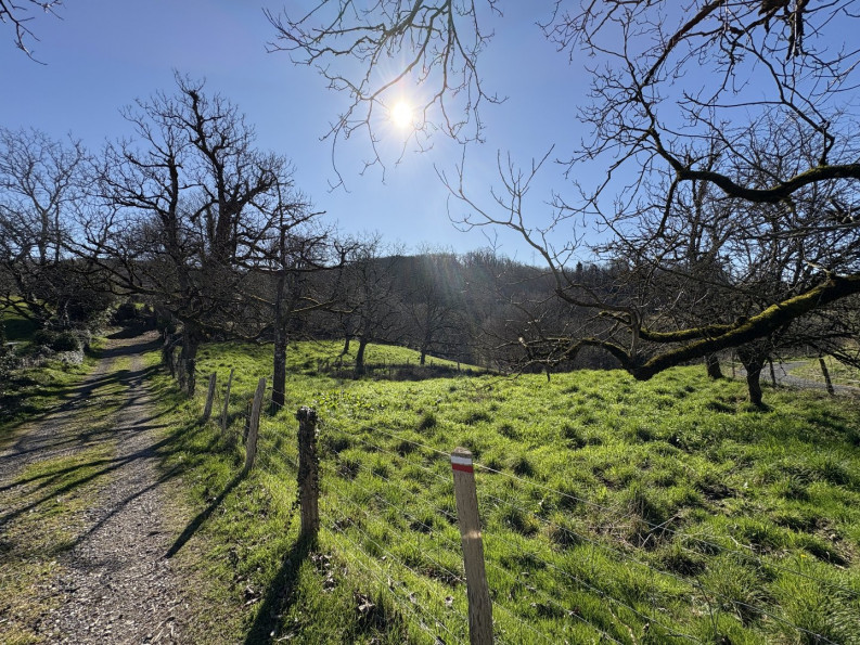 vente Maison Estivaux - Photo 19